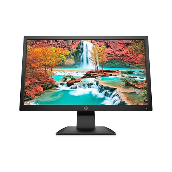 HP P204v 49.53CM (19.5) Monitor