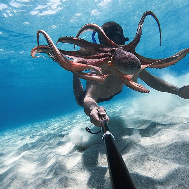 GoPro Hero 10
