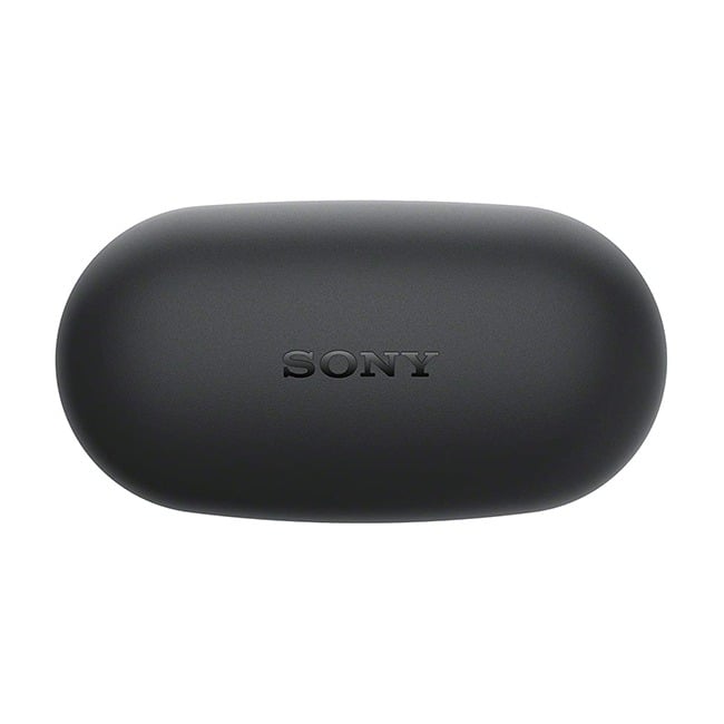 Sony WF-XB700 EXTRA BASS True Wireless Earbuds