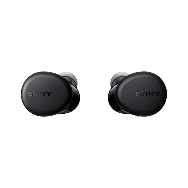 Sony WF-XB700 EXTRA BASS True Wireless Earbuds