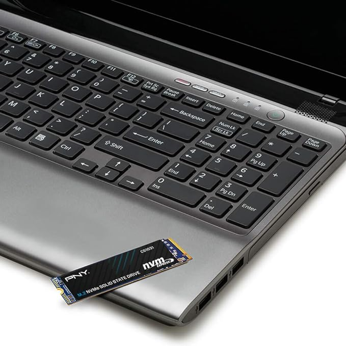 PNY CS1031 250GB M.2 2280 NVMe SSD