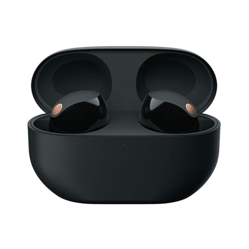 Sony WF-1000XM5 Noise-Canceling True  Wireless In-Ear Headphones