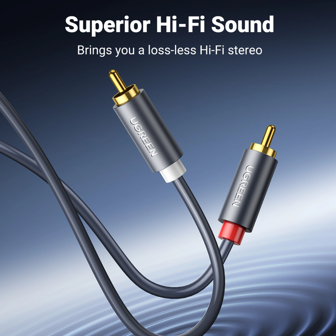 UGREEN 10519 2RCA Male to 2RCA Male 3M Cable