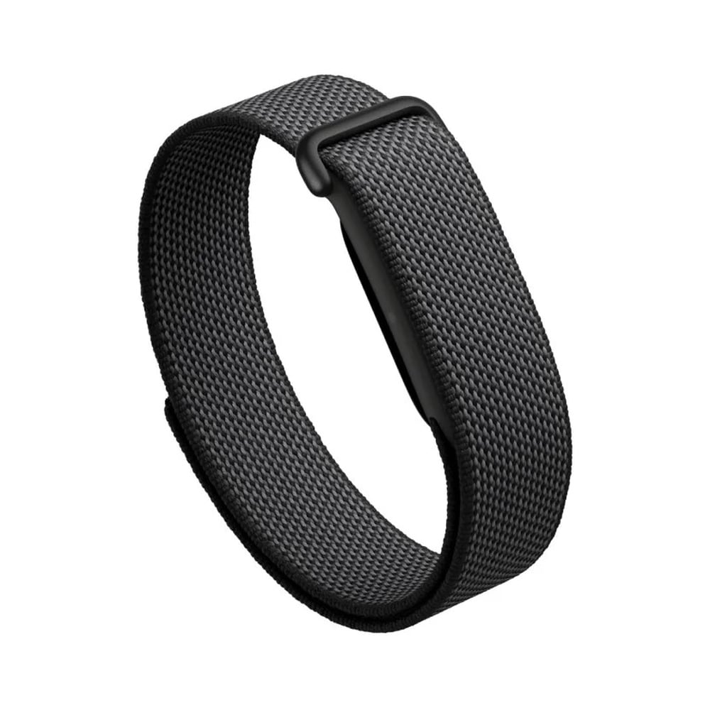 Google Fitbit Air
