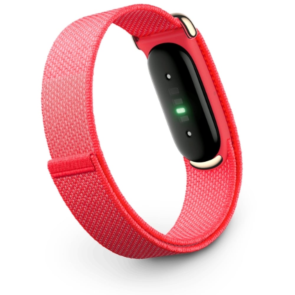 Google Fitbit Air