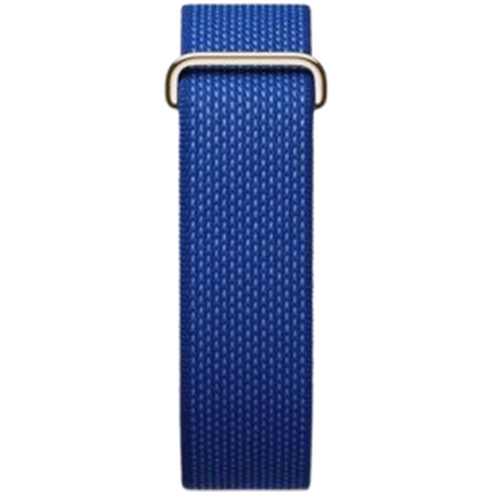 Google Fitbit Air Pokémon Sleep Special Edition